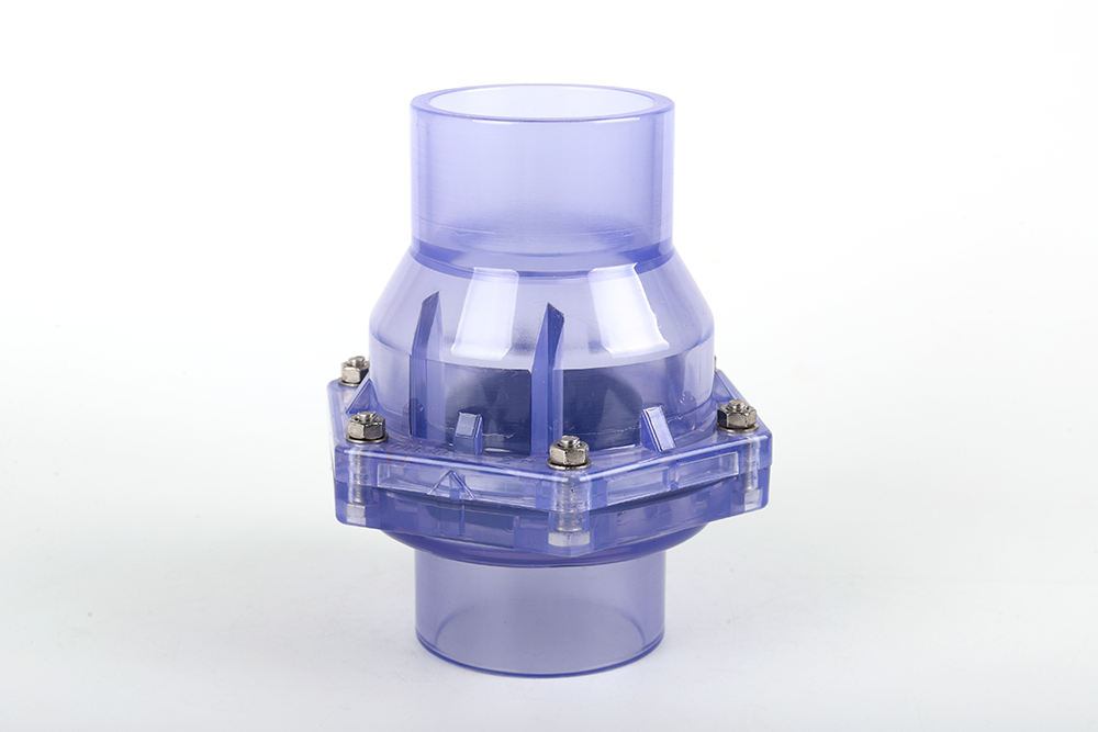 定城镇透明翻板式止回阀